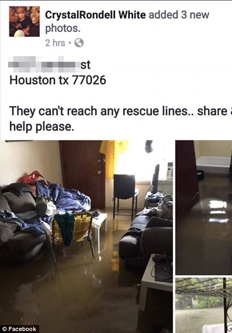 43A2744400000578-4828968-Residents_all_over_the_Houston_area_turned_to_Facebook_to_plea_f-a-11_1503901484783