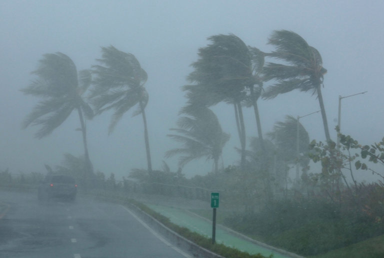 irma