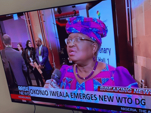 Okonjo-iweala-2-768×576-1-e1603889227703
